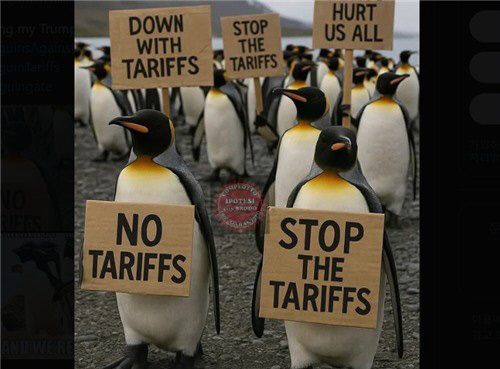 관세 부과에 항의 시위하는 펭귄 밈. X 캡처